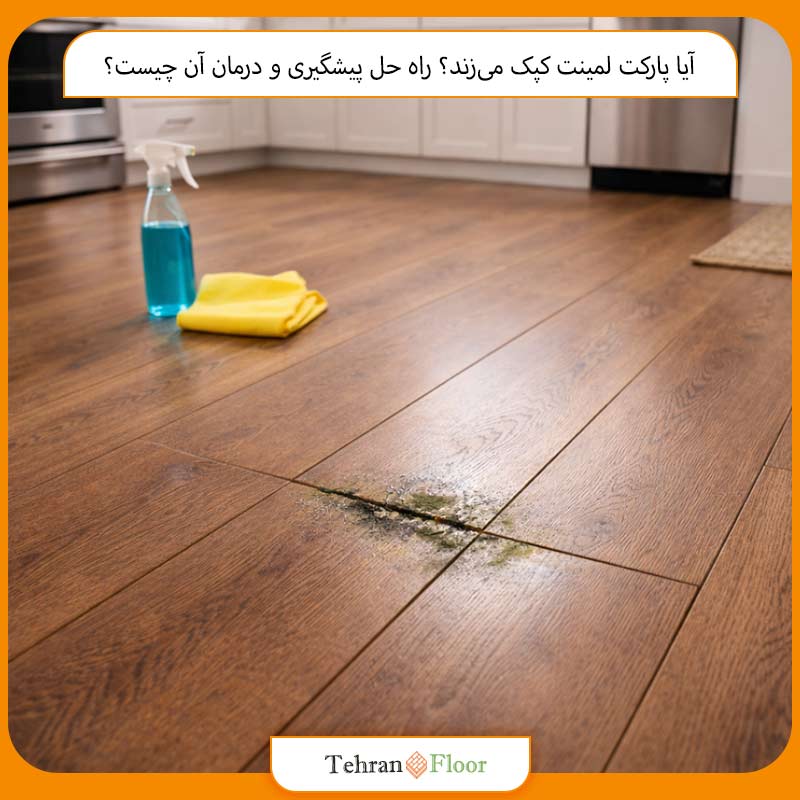 آیا پارکت لمینت کپک می‌زند؟ راه حل پیشگیری و درمان آن چیست؟